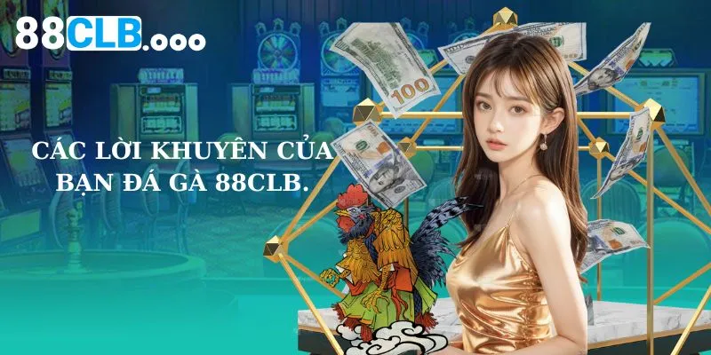 Các lời khuyên của bạn đá gà 88CLB